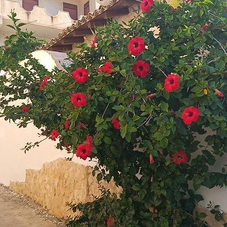 Al Faro Bed & Breakfast Realmonte Exterior foto