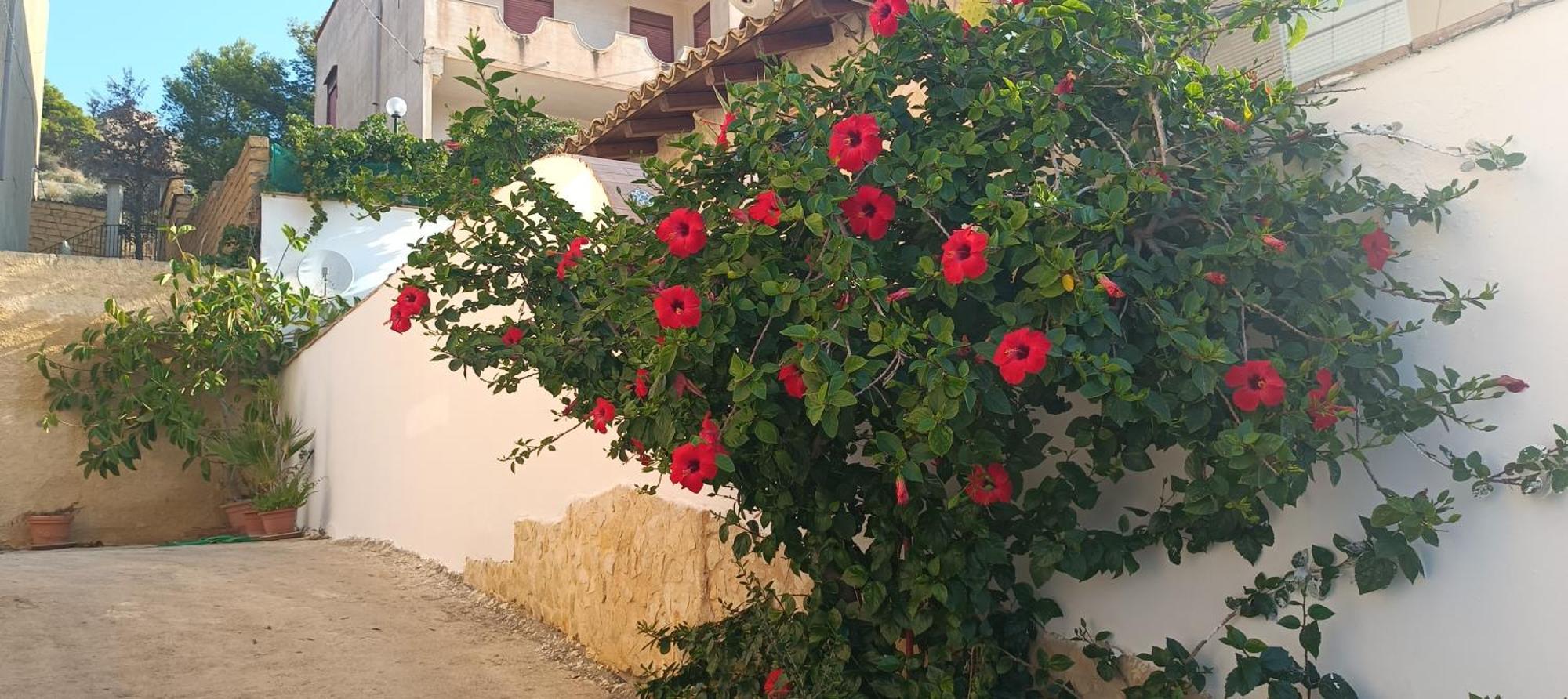 Al Faro Bed & Breakfast Realmonte Exterior foto